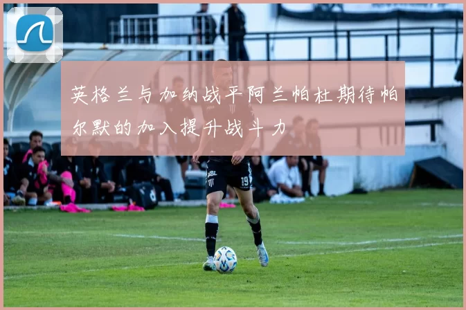 英格兰与加纳战平阿兰帕杜期待帕尔默的加入提升战斗力